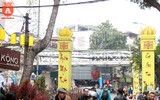 Lên ngay chợ hoa Hàng Lược để thấy Tết về